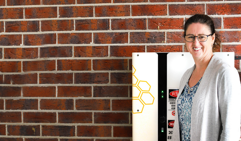 Solar Superhero Sue Smiling woman standing in front of a brick wall and a solar battery